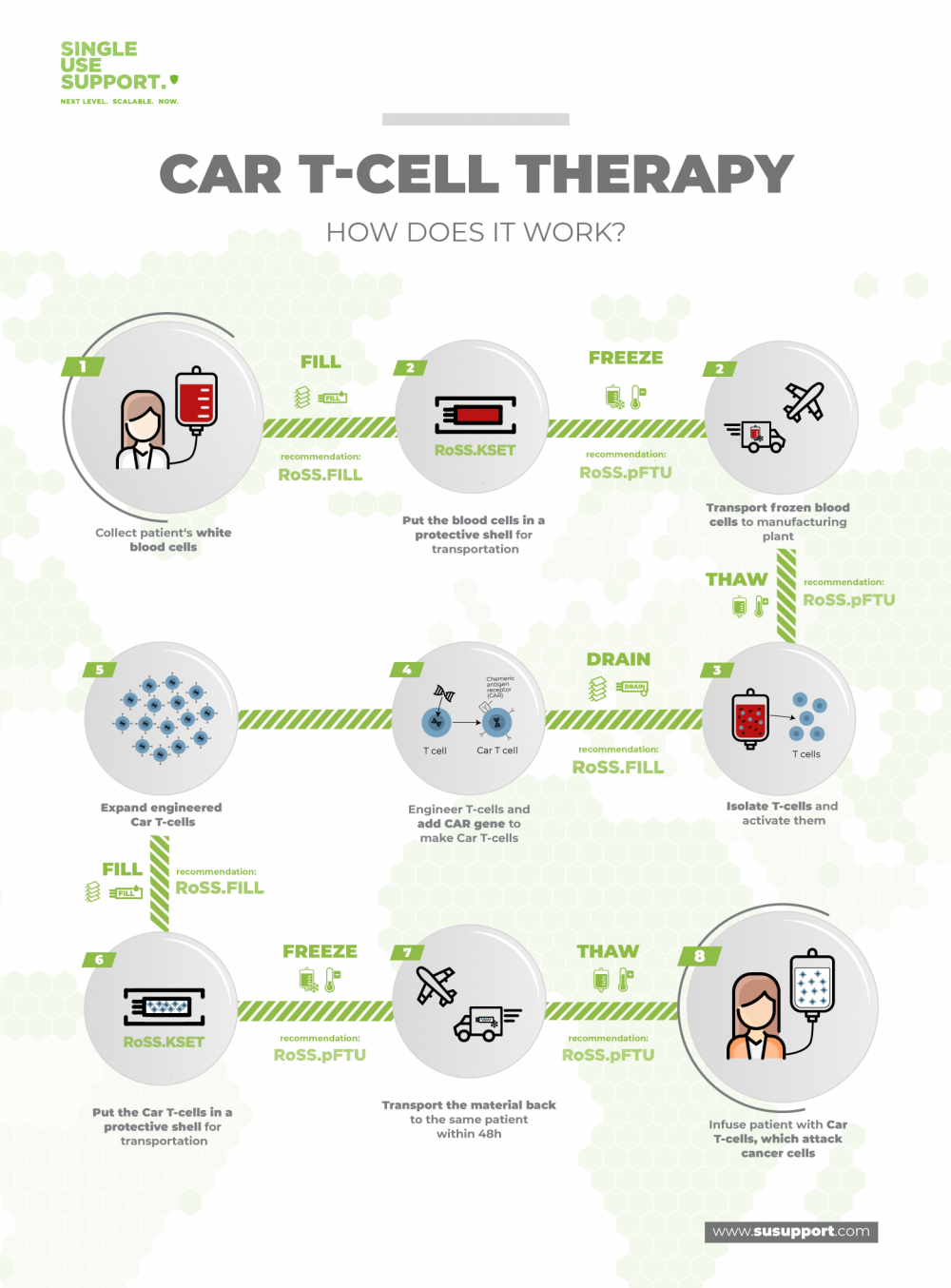Success rate of a CAR Tcell therapy